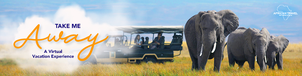 Take Me Away: A Virtual Vacation Experience - African Safaris and Tours Take Me Away: A Virtual Vacation Experience - African Safaris and Tours