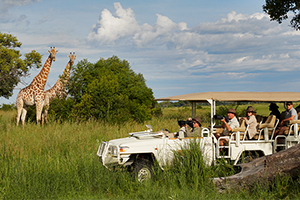 African Safaris and Tours African Safaris and Tours