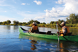 African Safaris and Tours African Safaris and Tours