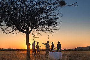 African Safaris and Tours African Safaris and Tours