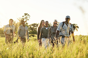 African Safaris and Tours African Safaris and Tours